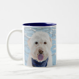 Champán Labradoodle con la taza del agua