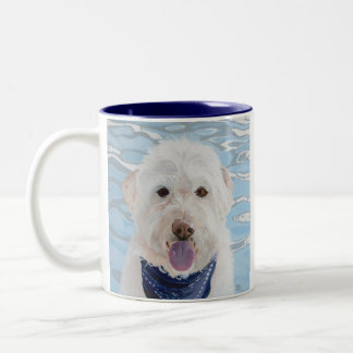 Champán Labradoodle con la taza del agua