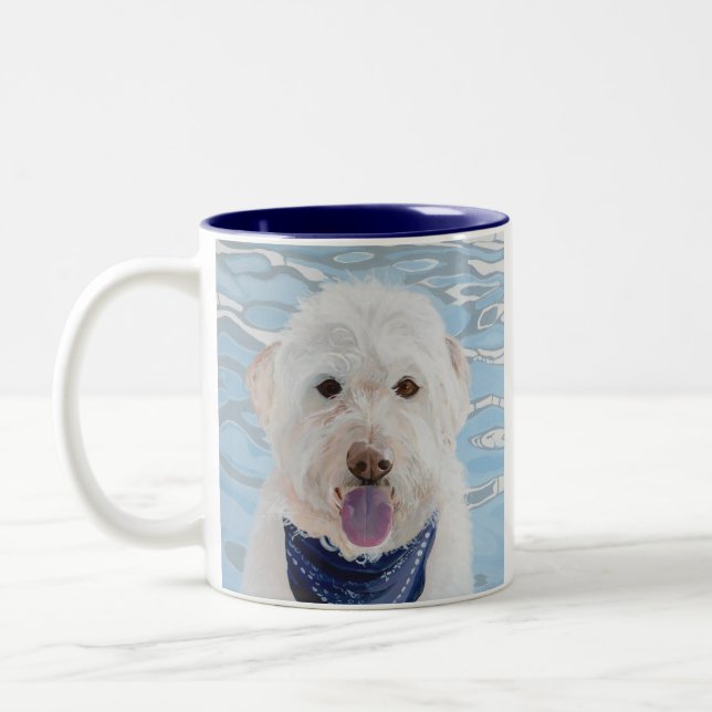 Champán Labradoodle con la taza del agua (Izquierda)