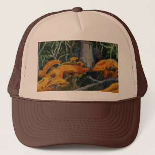 champiñones silvestres en el Gorra de los bosques 