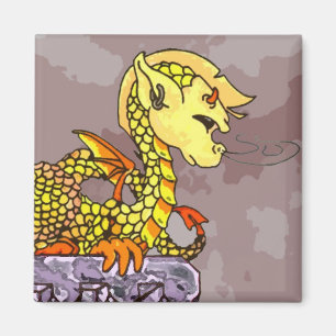 Chamuscó el imán del dragón del bebé