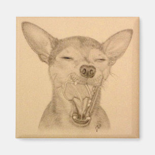Chance el bostezo del perrito del ~ del imán de l