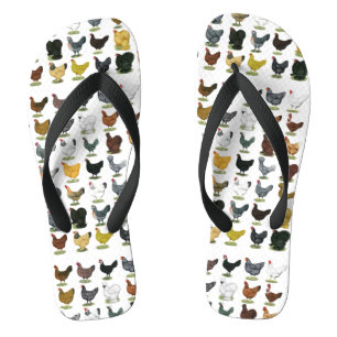 Chanclas 49 gallinas