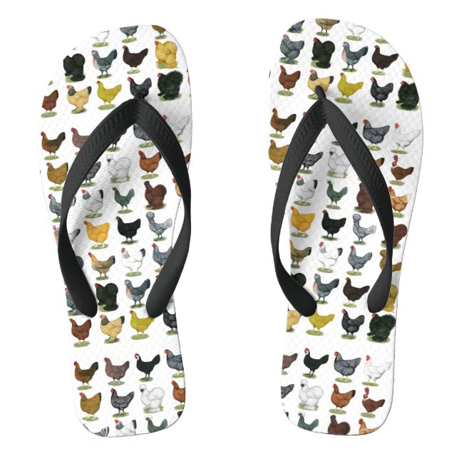 Chanclas 49 gallinas (Plantilla)