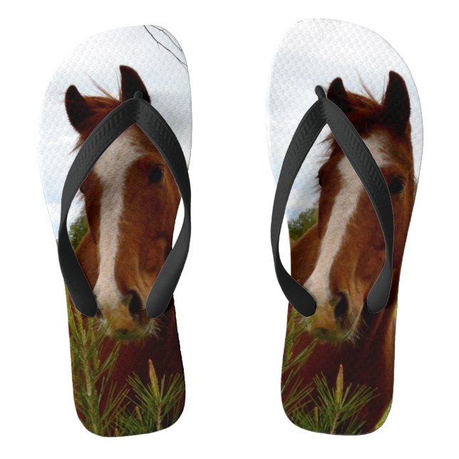 Chanclas "A Whipwhof Nature: A Chestnut Horse and Banksia, (Plantilla)