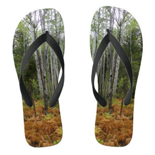 Chanclas Abedules y Helechos de Otoño en Rocky Mountain