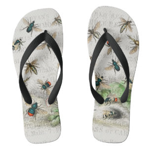 Chanclas Abeja Miel Trabajador Reina Abejas Antigüo