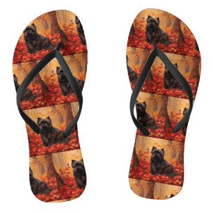 Chanclas Affenpinscher en hojas de otoño se inspira