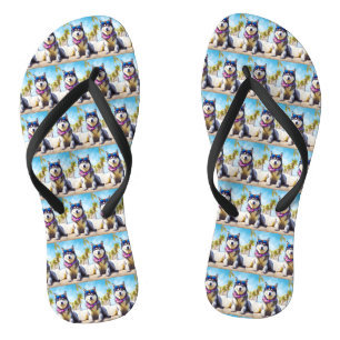Chanclas Alaskan Malamute en la playa, regalo de verano