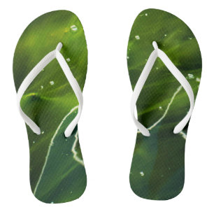 Chanclas Alga verde y fcn de agua
