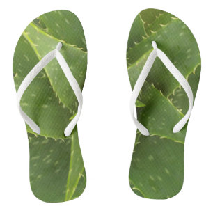 Chanclas Aloe