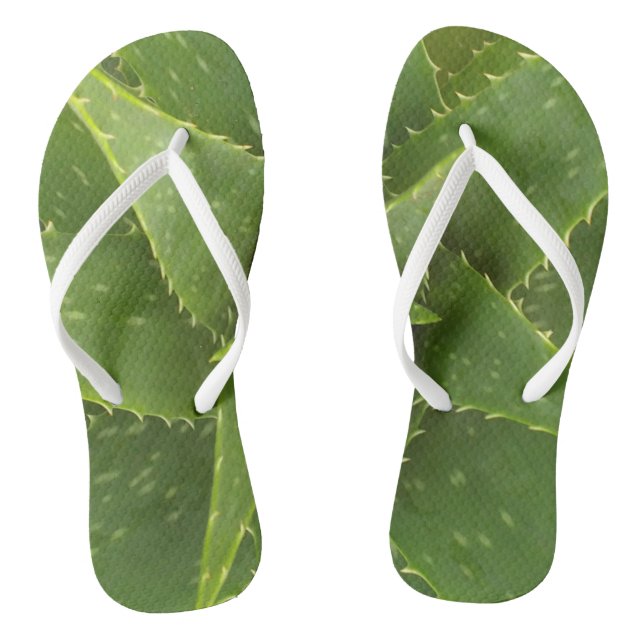 Chanclas Aloe (Plantilla)