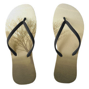 Chanclas Amanecer de mañana dorado y brumoso Ozarks