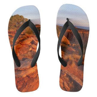 Chanclas Amanecer en el sendero Grand View en el Monumento 