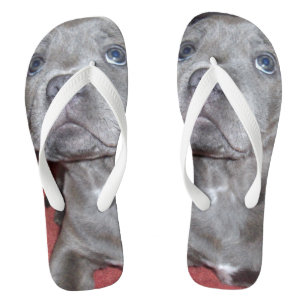 Chanclas Amueblados Ojos Sooky De Cachorro,