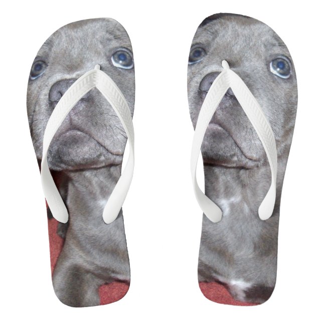 Chanclas Amueblados Ojos Sooky De Cachorro, (Plantilla)