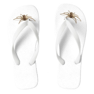 Chanclas Araña