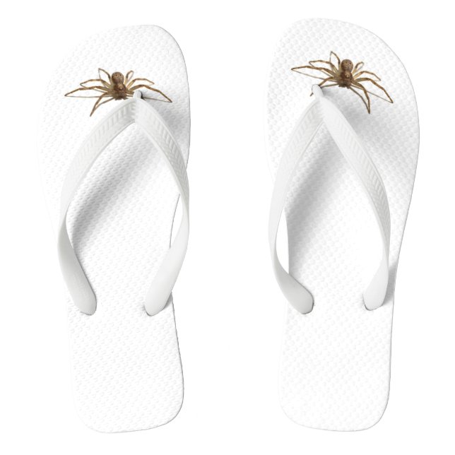 Chanclas Araña (Plantilla)