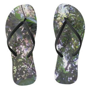 Chanclas Árbol de aguacate