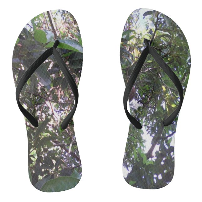 Chanclas Árbol de aguacate (Plantilla)