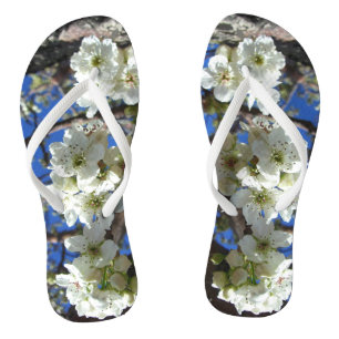 Chanclas Árbol de peras florido de primavera de los Cluster
