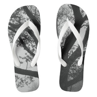Chanclas Arbol de roble Flip Flops Shoes