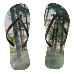 Chanclas Árboles nublados en la roca de la mesa