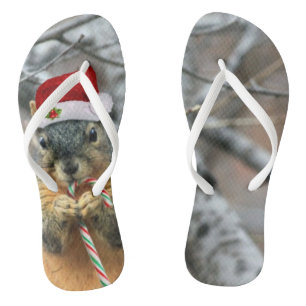 Chanclas Ardilla del navidad