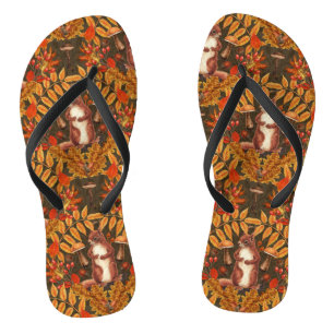 Chanclas Ardilla otoñal sobre marrón oscuro