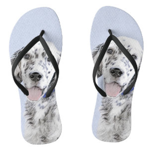Chanclas Arreglo de inglés azul Belton Pintura de perro