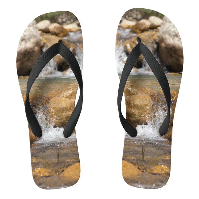 Chanclas Arroyo tormentoso en primavera (Plantilla)