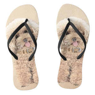 Chanclas Arroz de juguete en miniatura de perro crema marró