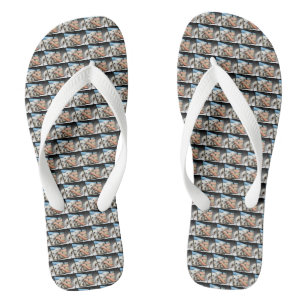 Chanclas Arte Dimensional de perro blanco,