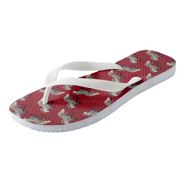 Chanclas Astrid de rojo (Angular)