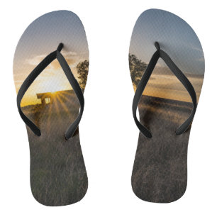 Chanclas Atardecer Abandonado Colorado