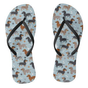 Chanclas Azul del modelo de las patas y de los huesos del