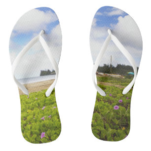 Chanclas Bahía Hanalei, playa Kauai Hawaii