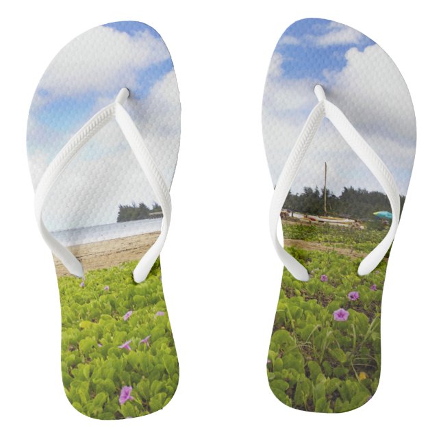 Chanclas Bahía Hanalei, playa Kauai Hawaii (Plantilla)