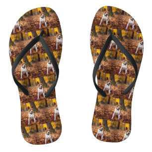 Chanclas Basenji en otoño se inspira la caída de las hojas