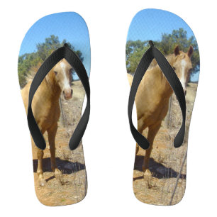 Chanclas Belleza de caballo palomino,