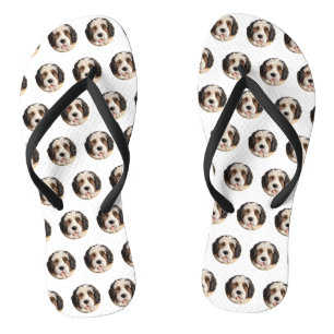 Chanclas Bernedoodle Dog 3D Inspirado