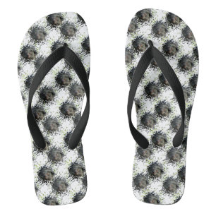 Chanclas Binturong