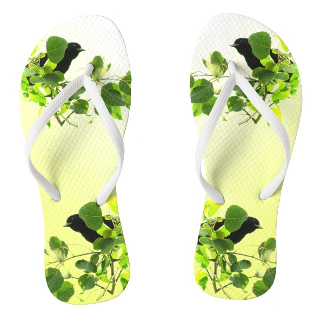 Chanclas Blackbird Flip Flops (Plantilla)