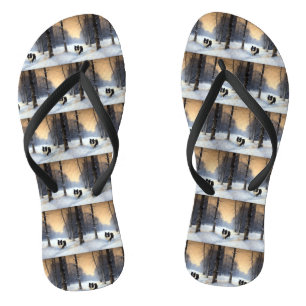 Chanclas Border Collie Deja que nieve Navidad