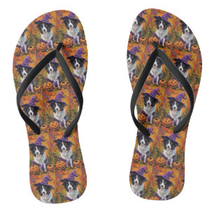 Chanclas Border Collie Espeluznante Bruja de Halloween y Ca