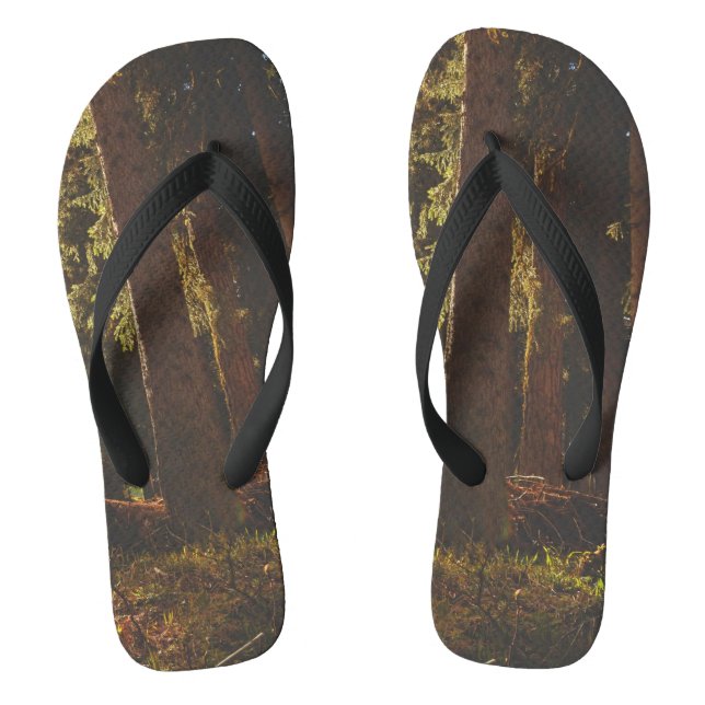 Chanclas Bosque (Plantilla)
