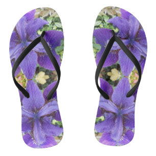 Chanclas Brandeis