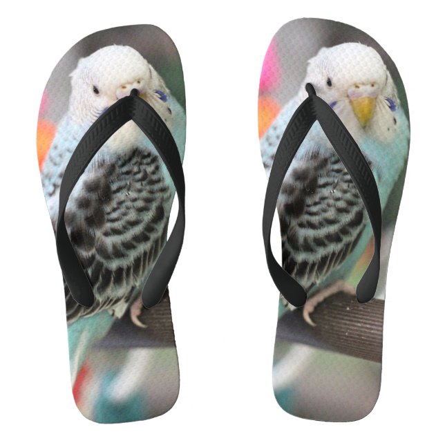 Chanclas Budgie (Plantilla)
