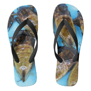 Chanclas Bug de agua gigante frito (Maeng Daa) ... Comida a