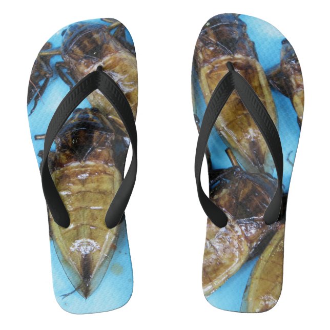 Chanclas Bug de agua gigante frito (Maeng Daa) ... Comida a (Plantilla)